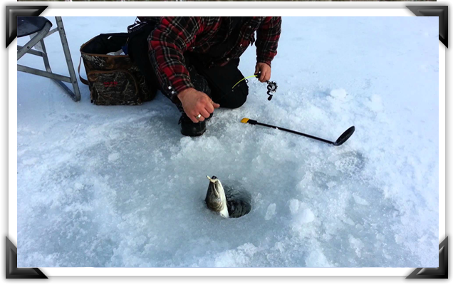 ice-fishing.png